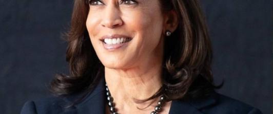 Harris-Vicepresidenta-Estados-Unidos.jpg
