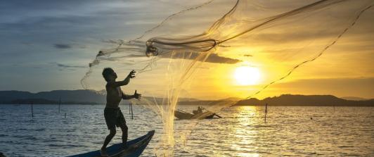 Hay-oportunidades-en-la-acuicultura-y-la-pesca-en-Noruega.jpg