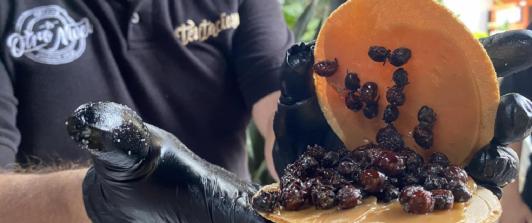 Hormigas-culonas-entre-las-peores-comidas-del-mundo.-Foto_-Radio-Nacional-de-Colombia.jpg