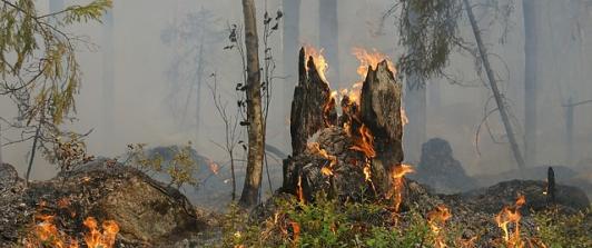 Incendios-1.jpg