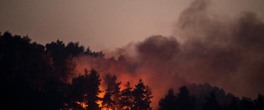 Incendios-Grecia.jpg
