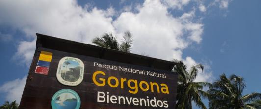 Isla-Gorgona.jpg