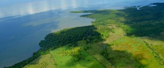 La-ANT-entrego-567-hectareas-de-tierra-a-234-campesinos-en-el-Uraba-Antioqueno.jpg