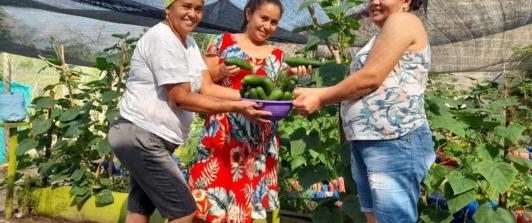 La-gran-apuesta-que-empodera-a-56-mujeres-campesinas-de-Canutal-Sucre.jpg