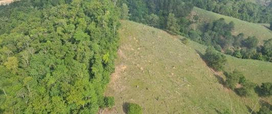 Mas-de-tres-millones-de-hectareas-de-bosque-han-sido-deforestadas-en-Colombia.jpg