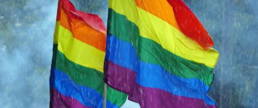 Matrimonio-igualitario.jpg