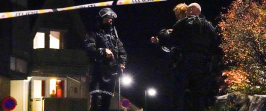Noruega-Arco-Flecha.jpg