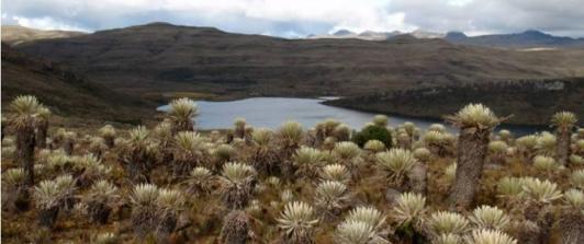 Paramos-en-Colombia-1.jpg