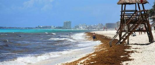 Playa-Ballenas-Mexico.jpg