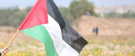 Por-izar-la-bandera-de-Palestina-le-retiraron-el-titulo-de-campeon-a-atleta-turco.jpg