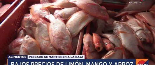 Precios-de-los-alimentos-asi-han-bajado-frutas-verduras-y-pescados.jpg