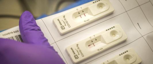 Prueba-PCR-1.jpg