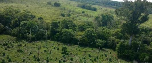 Reforma-Agraria-Gobierno-entrego-3.532-hectareas-de-tierra-1.jpg