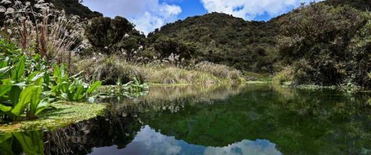 Retos_ambientales_2021-1.jpg
