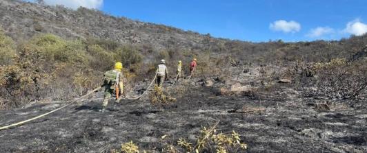 Santander-incendios-forestales-danaron-varias-hectareas-de-zonas-naturales.jpg