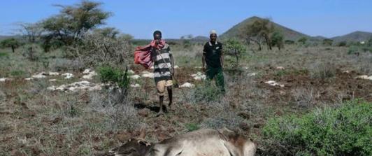 Sequia-en-Kenia-afecta-pastores.jpg