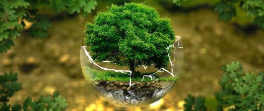 Tierra-ambiente-1.jpg
