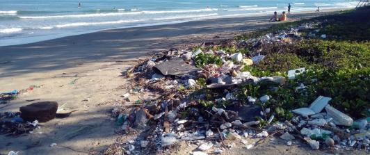 WWF-pidio-la-prohibicion-de-plasticos-de-un-solo-uso-daninos-e-innecesarios.jpg