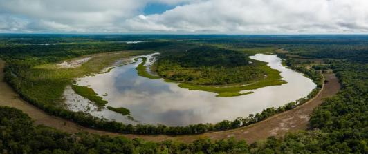 WWF-proyecto-supero-meta-de-creacion-de-hectareas-de-areas-protegidas.jpg