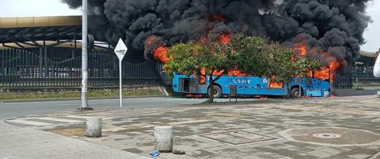 buses_mio_vandalizados-1.jpg