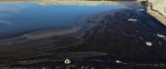 california-afectado-derrame-petróleo.jpg