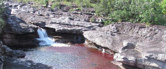 cano-cristales-Cortesia-Parques-Nacionales.jpg
