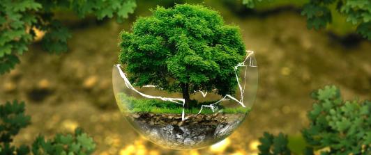 cursos-gratuitos-medio-ambiente.jpg