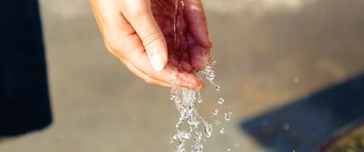 hand-1576418_1280-2.jpg