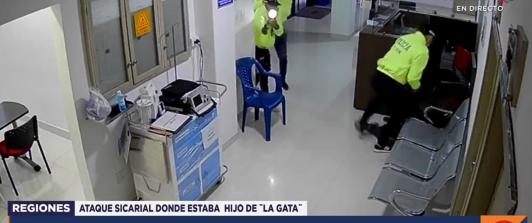 hijo-de-la-gata.jpg