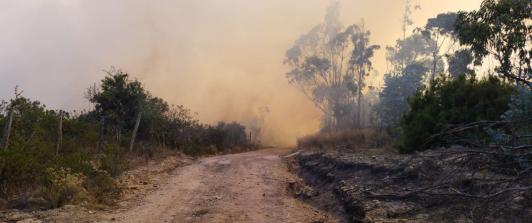 incendio-guatavita-1.jpg