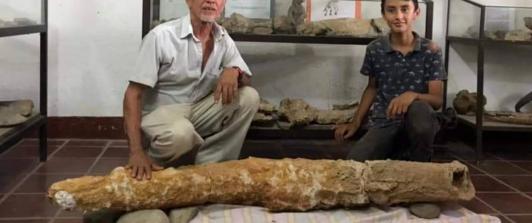 nino-y-sua-buelo-descubren-colmillo-de-mastodonte.jpg