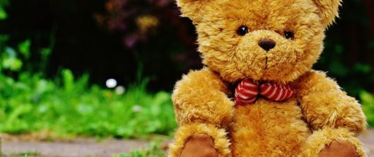 osito-de-peluche.jpg
