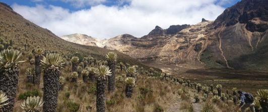 paramos-colombia.jpg