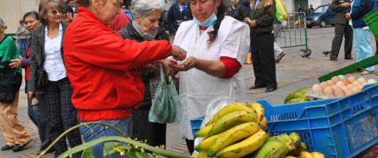seguridad-alimentaria.jpg