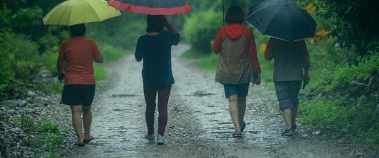 umbrella-4812679_1280.jpg