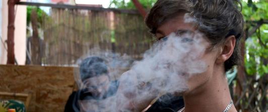 weed-837125_1280-1.jpg