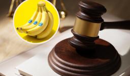 Fallo histórico a directivos de Chiquita Brands. / Fotos: Freepik y Chiquita Brands.