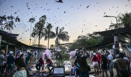 Turismo en Leticia.