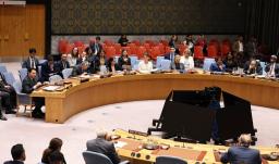 Consejo de Seguridad de la ONU.