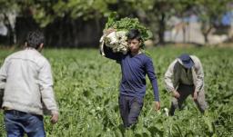 Colombia registra la tasa de desempleo más baja en 24 años para el mes de agosto