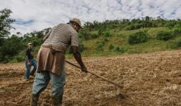 Agro colombiano genera 4,8 millones de empleos