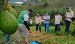 Colombia en más mercados internacionales. / Foto: ICA.