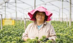 Impulso a la economía colombiana en las mujeres. / Foto: Dirección de Mujer Rural.
