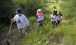 "Sin garantías no podíamos seguir": la ley que ampara a las mujeres buscadoras