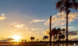 Los morichales, un paraíso natural en los Llanos Orientales
