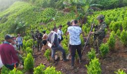 Brigada Móvil N.37 destruye 2 semilleros ilegales con cocaína y desactiva artefacto explosivo en