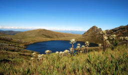 Laguna y frailejones en el Parque Nacional Natural Chingaza