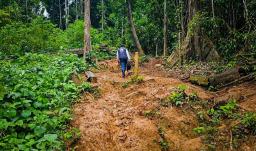 Petro ordena despliegue militar en el Darién 