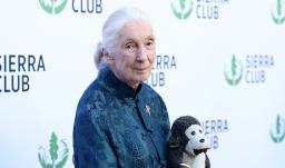 Jane Goodall. / Foto: AFP.