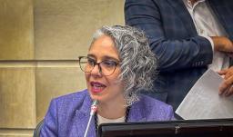 María José Pizarro.